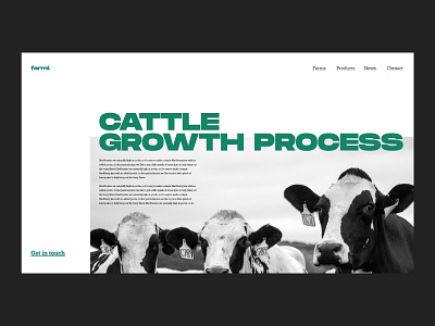 Cattle Growth Website agriculture cattle company website corporate cow design farm farming graphic design growth interaction design landing page minimalistic typography ui user interface ux web web design website
