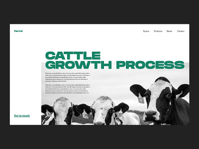 Cattle Growth Website