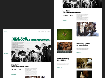 Cattle Growth Homepage Design cattle company page cow cowboy design farm farming graphic design interaction design interface minimal minimalistic modern typography ui user interface ux web web design website