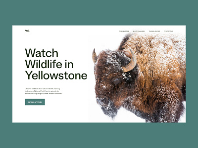 Wildlife Park Landing Page Design animals buffalo design design studio graphic design homepage interface landing page minimalistic typography ui user interface ux web web design web marketing website wildlife