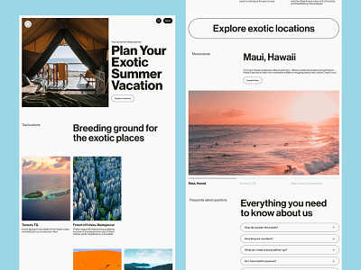 Exotic Vacations Web Design agency design destination graphic design homepage interface landing page travel travel agency travel booking traveling ui user experience user interface ux vacation web design website website design