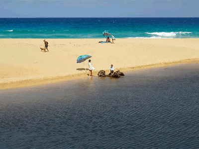 Cinemagraph: Kauai, Hawaii cinegraph cinemagram cinemagraph photo photography video