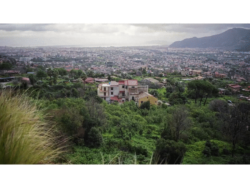 Hilltop View, Cinemagraph #9 cinegraph cinemagramm cinemagraph cinemagraphs green hilltop italy living photography palermo panorama photography sicily