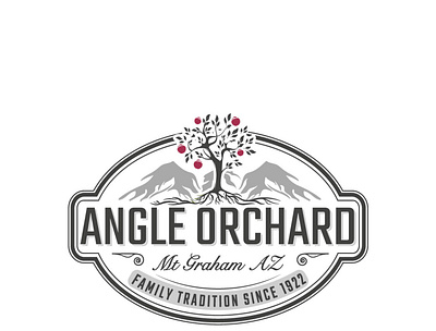 Angle Orchard branding design illustration logo logo design vector