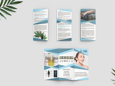 Trifold Brochure branding design logo