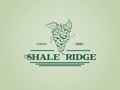 Shale Ridge icon illustration logo design ux web