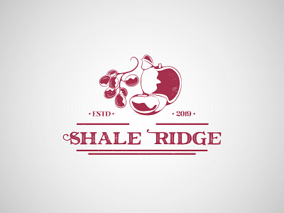 Shale Ridge branding illustration ux vector