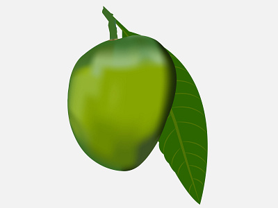 Mango fruits illustration. Green mango with leaves on flat backg