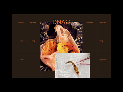 DNA© Mag Concept Site animation art branding design figma landing page site typography ui ux web