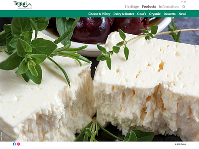 Tempi - Greek Dairy Products web design web development
