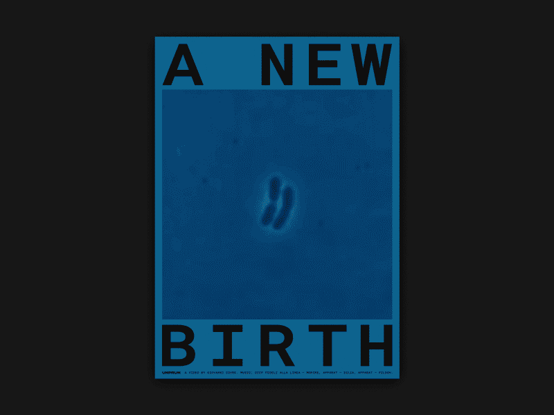 A New Birth Poster after effects animated poster animation film poster graphicdesign motion motion design motion graphics motion poster movie poster moving poster moving type poster poster art poster artwork poster design primary colors type animation typography video poster