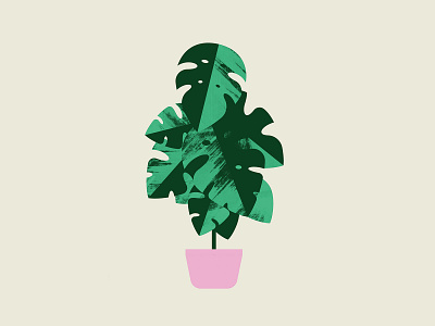 Plant Sit Monstera design flat geometric illustration illustrator leaves monstera plant vector