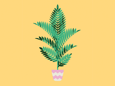 Plant Sit Palm