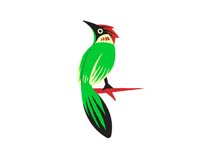 Woodpecker bird brush colourful design green illustration illustrator paint red