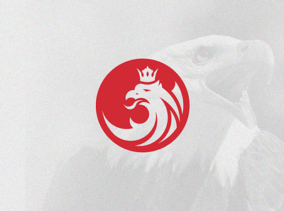 Eagle Logo ai art artistic illustration illustrator logo logo design logo mark logotype photoshop