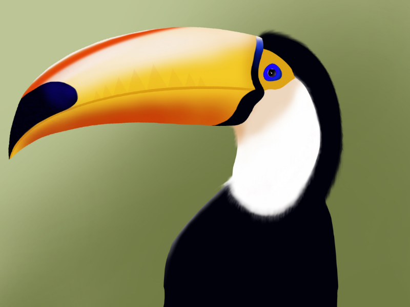 Stock Art Drawing of a Keel-Billed Toucan - inkart