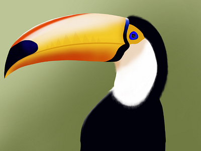 Digital art procreate - Toucan bird drawing... bird drawing bird drawing toucan long beak bird toucan toucan bird
