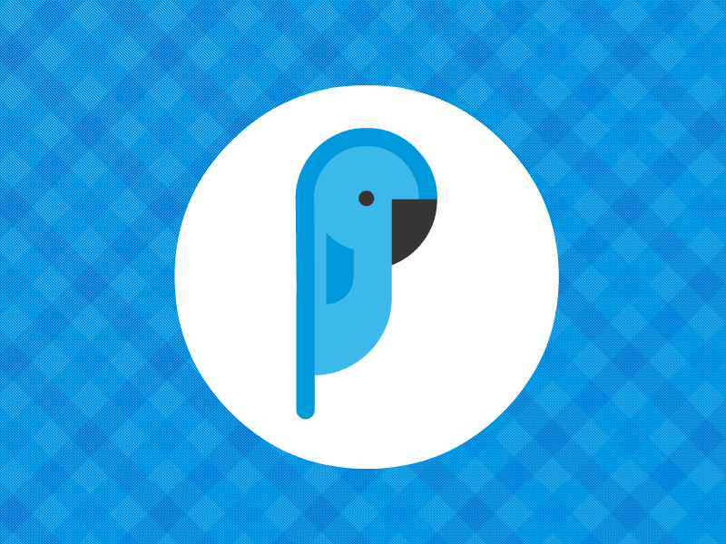Phrask Logo Animation animation app ios iphone logo parrot