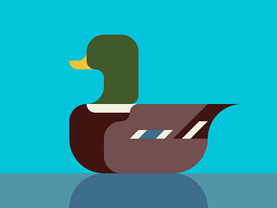 mallard