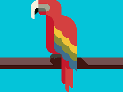 Parrot -with a Drawing app- animal bird flat flatdesign geometry kawaii parrot patchworkapp