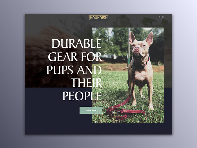 Houndish Canine Goods branding design identity logo webdesign