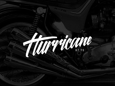 Hurricane branding logo