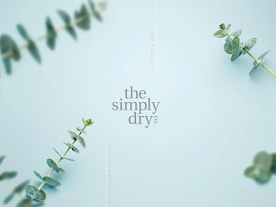 The simply dry brand dev branding eucalyptus packaging website