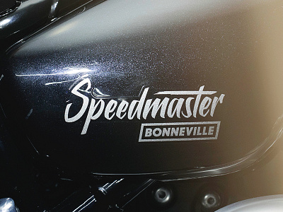 Speedmaster Logo branding brush typography hand lettering typography