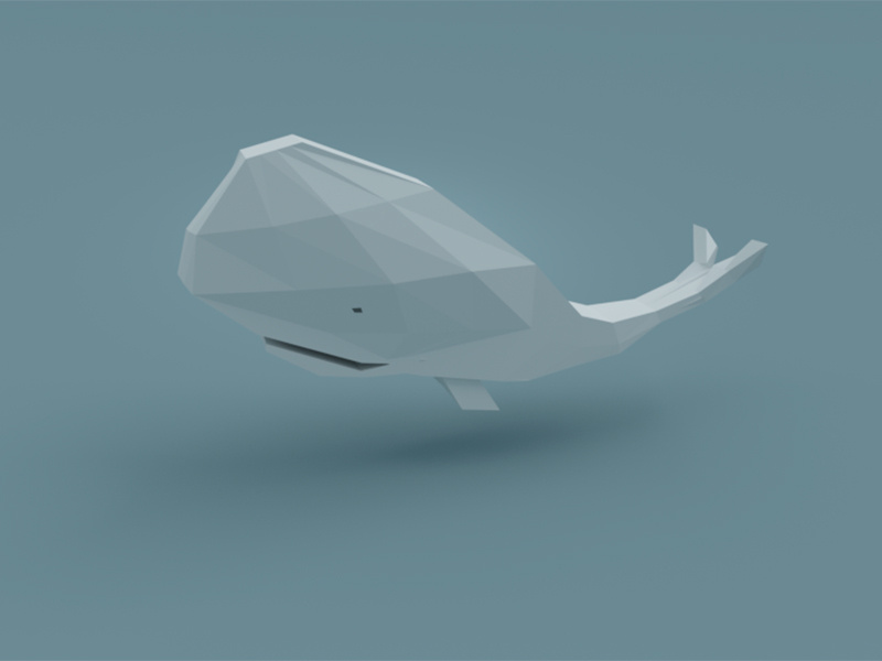 Poly Whale whale render poly low isometric illustration cute blender b3d