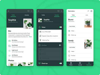 Plant Care Mobile App Concept