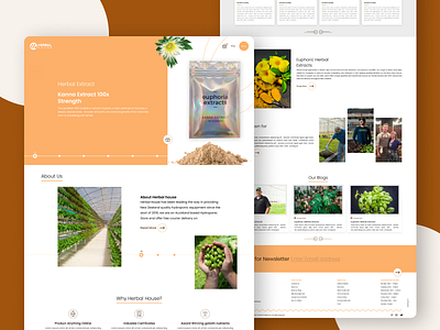 Herbal Web Ui Design graphic design herbal web ui design web design website