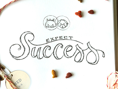 Success calligraphy cat dog handletter handmade ink lettering script sketch success typography
