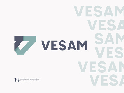 VESAM branding design graphic illustrator logo logo design logodesign minimal visual identity