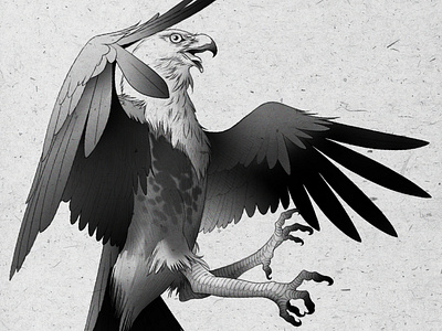 05 Aguila Blackwork 06 design eagle illustration tattoo