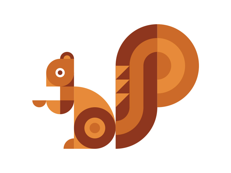 Squirrel minimal illustration animal squirrel