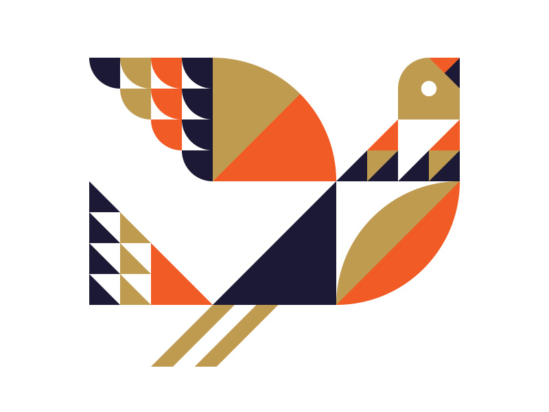 Bird illustration bird flight