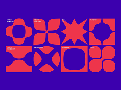 Specia animation branding design illustration logo nimax rebranding