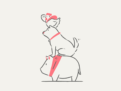 animal animal chicken dog illustraion pig taiwan