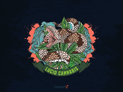 Lucid Cannabis