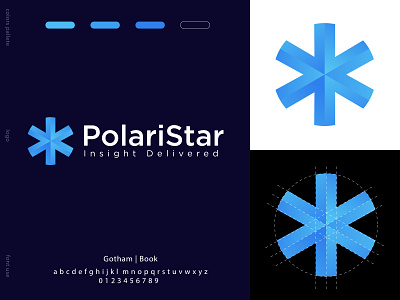 polari star logo app art branding design flat icon logo minimal type vector