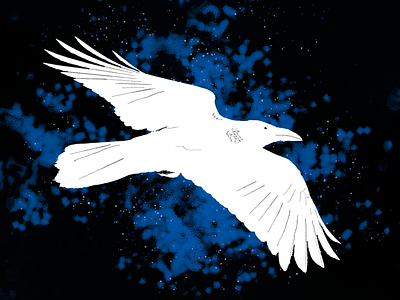 For a Book Cover black blue book cover design illustration raven