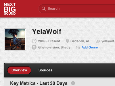 YelaWolf app header info input metadata music nbs next big sound profile rap search tabs ui yelawolf