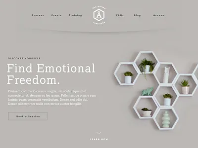 Anima Institute - Landing counseling hexagon homepage shelves therapy ui ux website