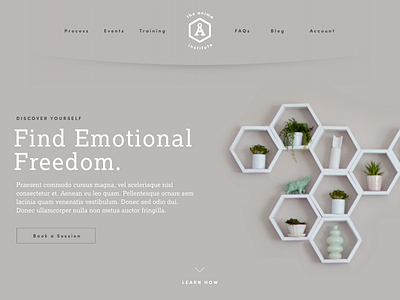 Anima Institute - Landing counseling hexagon homepage shelves therapy ui ux website