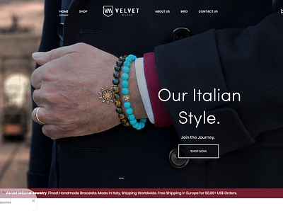 Website and Product Photography for Velvet Milano Fashion Brand brand branding design fashion style website wordpress
