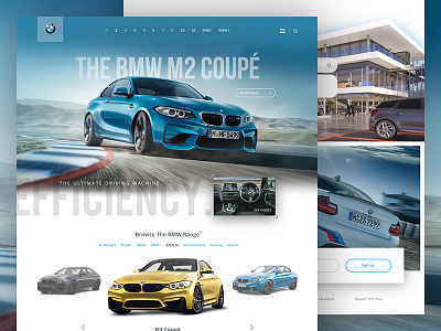 BMW Website