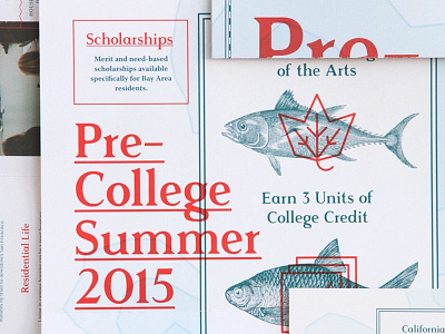 CCA Pre-College Collateral ccarts college fish icons poster print rasmus sea typography underline underwater