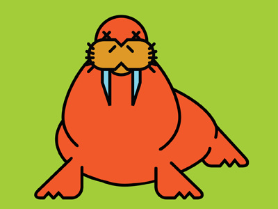 Walrus vector walrus