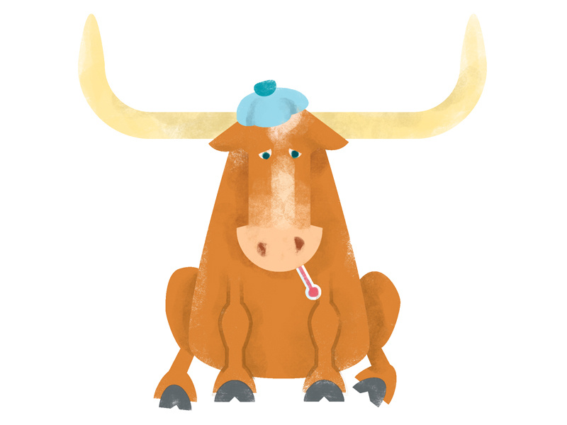 Bevo Is Sick By Bradley Jackson On Dribbble