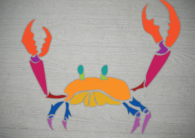 Crab colors crab